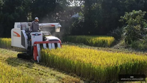 腾讯电竞新赛事，跨界合作助力电竞生态